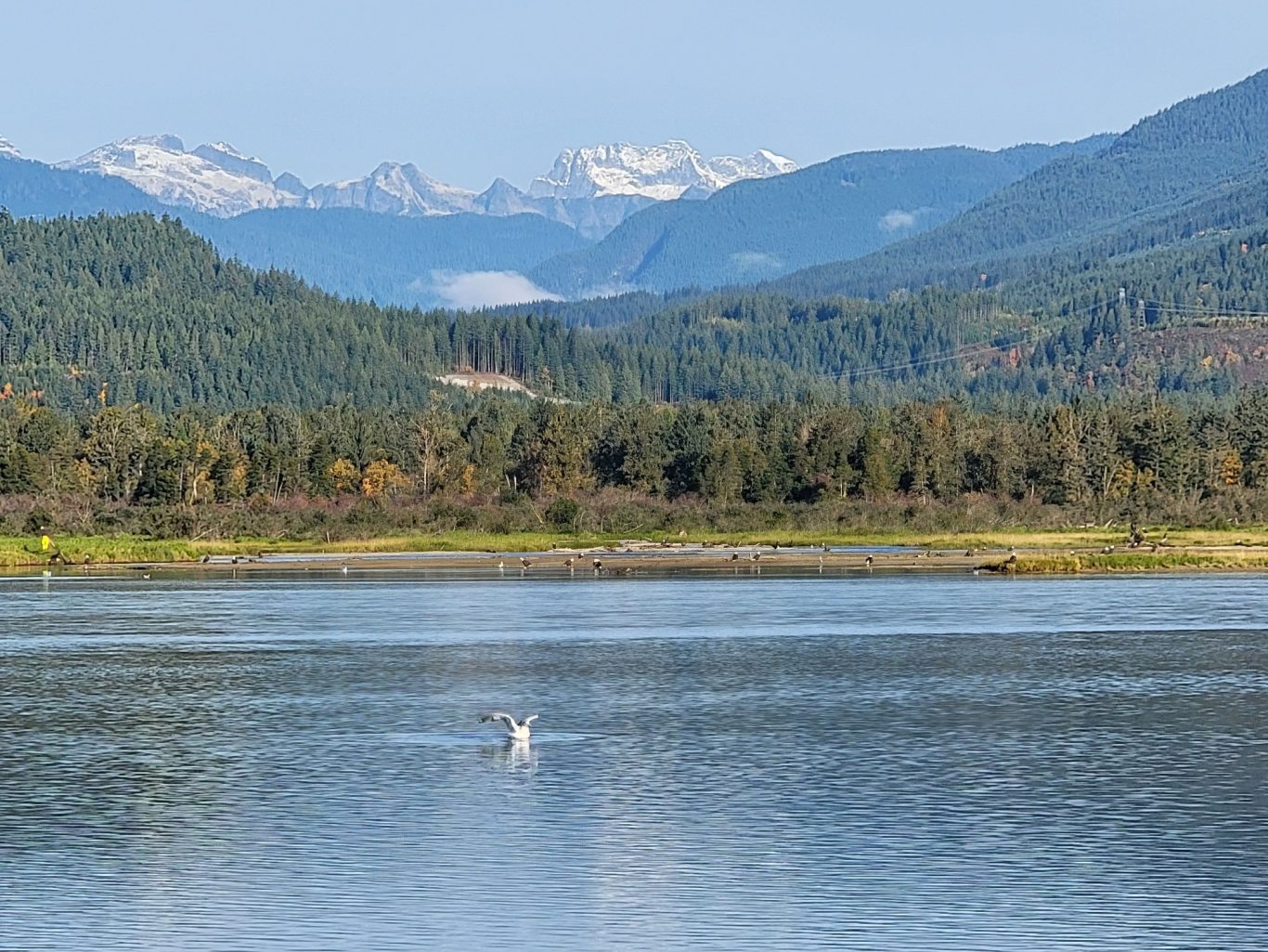 Dean Werk great river adventures